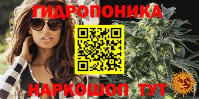 PSILOCYBIN Добрянка