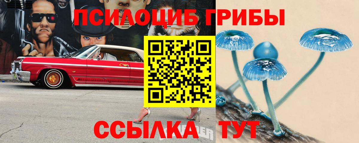 Псилоцибиновые грибы мухоморы Елизово
