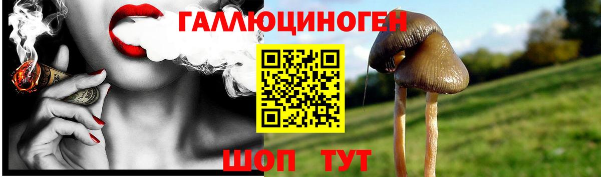 Елизово  Галлюциногенные грибы MAGIC MUSHROOMS  Вход с VPN 